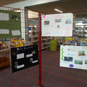 IMG_20230608_154758634