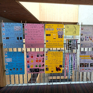 IMG-20260212-WA0021bis