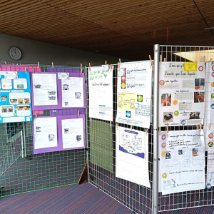 IMG-20260212-WA0001 bis