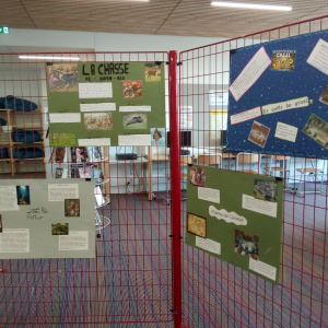 IMG_20230608_154811305