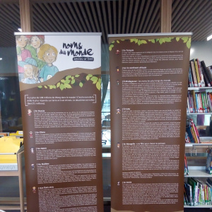 IMG_20240223_101539672