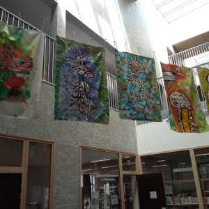 IMG_20230608_154914661