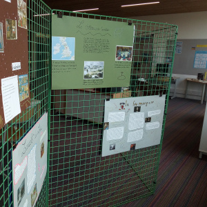 IMG_20230608_154732336