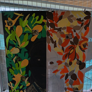 IMG-20260212-WA0013bis