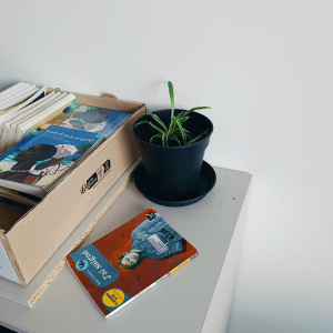 ecoplante1